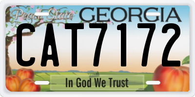 GA license plate CAT7172