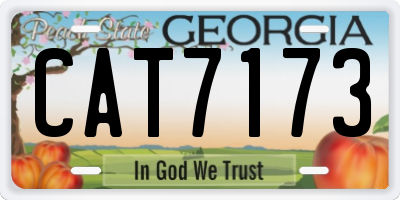 GA license plate CAT7173