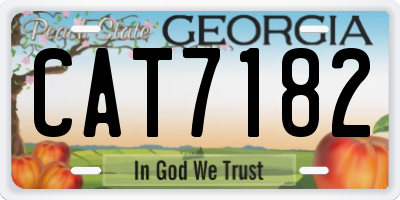 GA license plate CAT7182