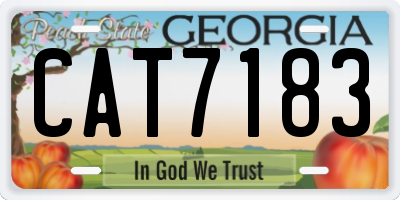 GA license plate CAT7183