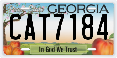 GA license plate CAT7184