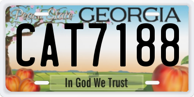 GA license plate CAT7188