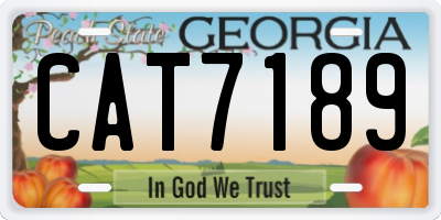GA license plate CAT7189