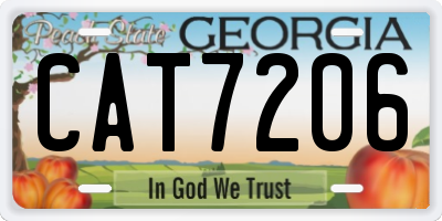 GA license plate CAT7206