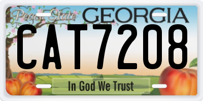 GA license plate CAT7208