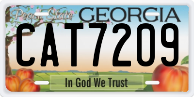 GA license plate CAT7209