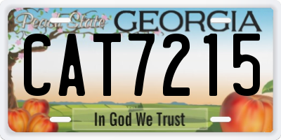 GA license plate CAT7215
