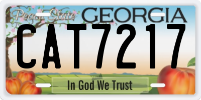 GA license plate CAT7217