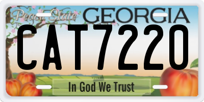 GA license plate CAT7220