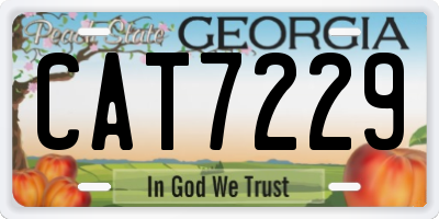 GA license plate CAT7229