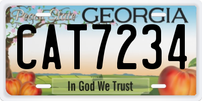 GA license plate CAT7234