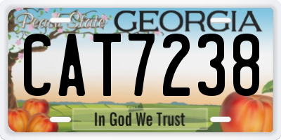 GA license plate CAT7238