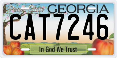 GA license plate CAT7246