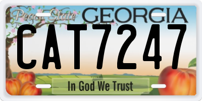 GA license plate CAT7247