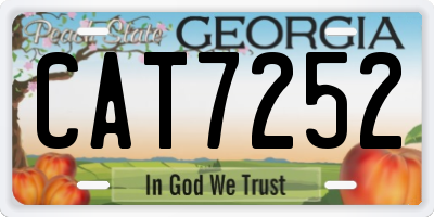 GA license plate CAT7252