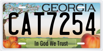 GA license plate CAT7254