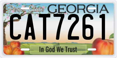 GA license plate CAT7261