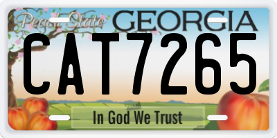 GA license plate CAT7265