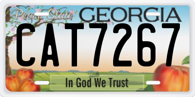 GA license plate CAT7267
