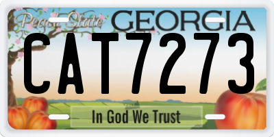 GA license plate CAT7273