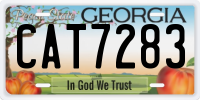 GA license plate CAT7283