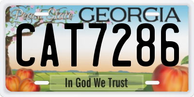 GA license plate CAT7286
