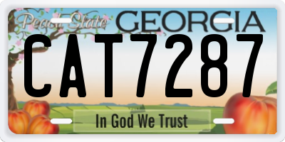 GA license plate CAT7287