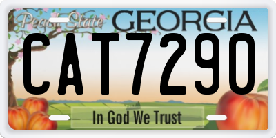 GA license plate CAT7290