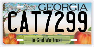 GA license plate CAT7299