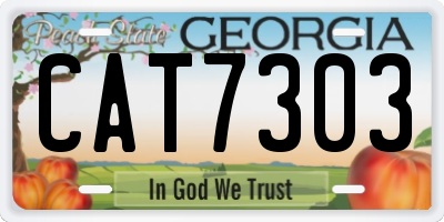 GA license plate CAT7303