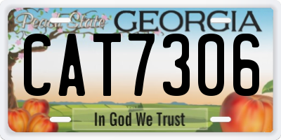 GA license plate CAT7306