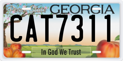 GA license plate CAT7311