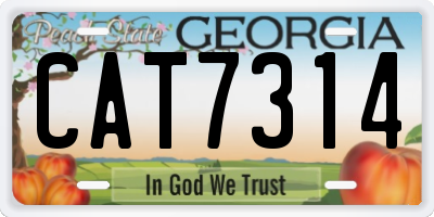 GA license plate CAT7314
