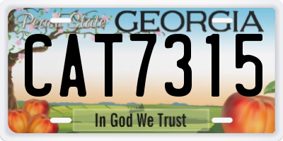 GA license plate CAT7315
