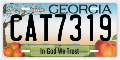 GA license plate CAT7319