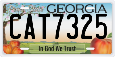 GA license plate CAT7325