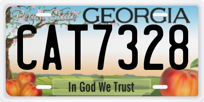 GA license plate CAT7328