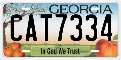 GA license plate CAT7334