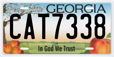 GA license plate CAT7338
