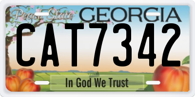 GA license plate CAT7342