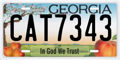 GA license plate CAT7343