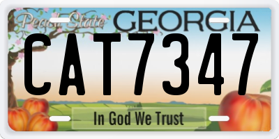 GA license plate CAT7347