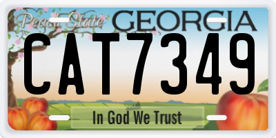 GA license plate CAT7349