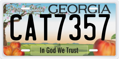 GA license plate CAT7357