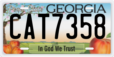 GA license plate CAT7358