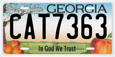 GA license plate CAT7363