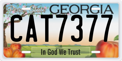 GA license plate CAT7377