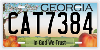 GA license plate CAT7384