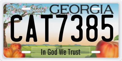 GA license plate CAT7385