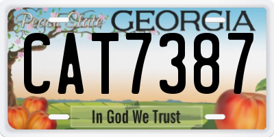GA license plate CAT7387